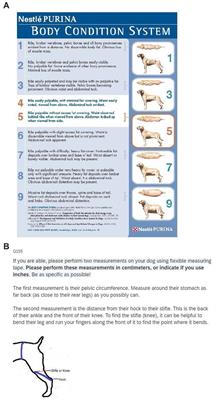 A comparison of owner perceived and measured body condition, feeding and exercise in sport and pet dogs